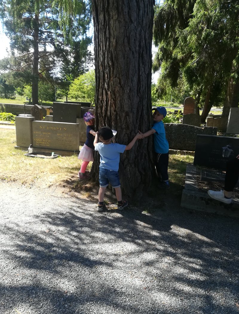 Lapset tutkivat hautausmaata. Puretun vanhan kirkon paikalla kasvaa valtava lehtikuusi.