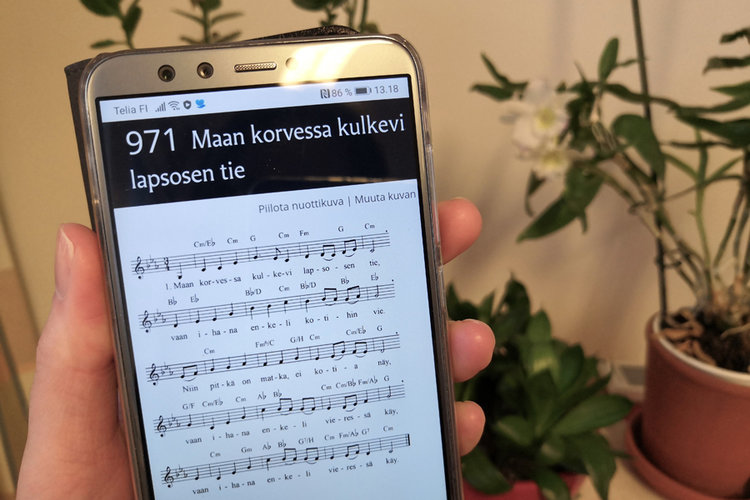 Virren sanoja verkkovirsikirjassa