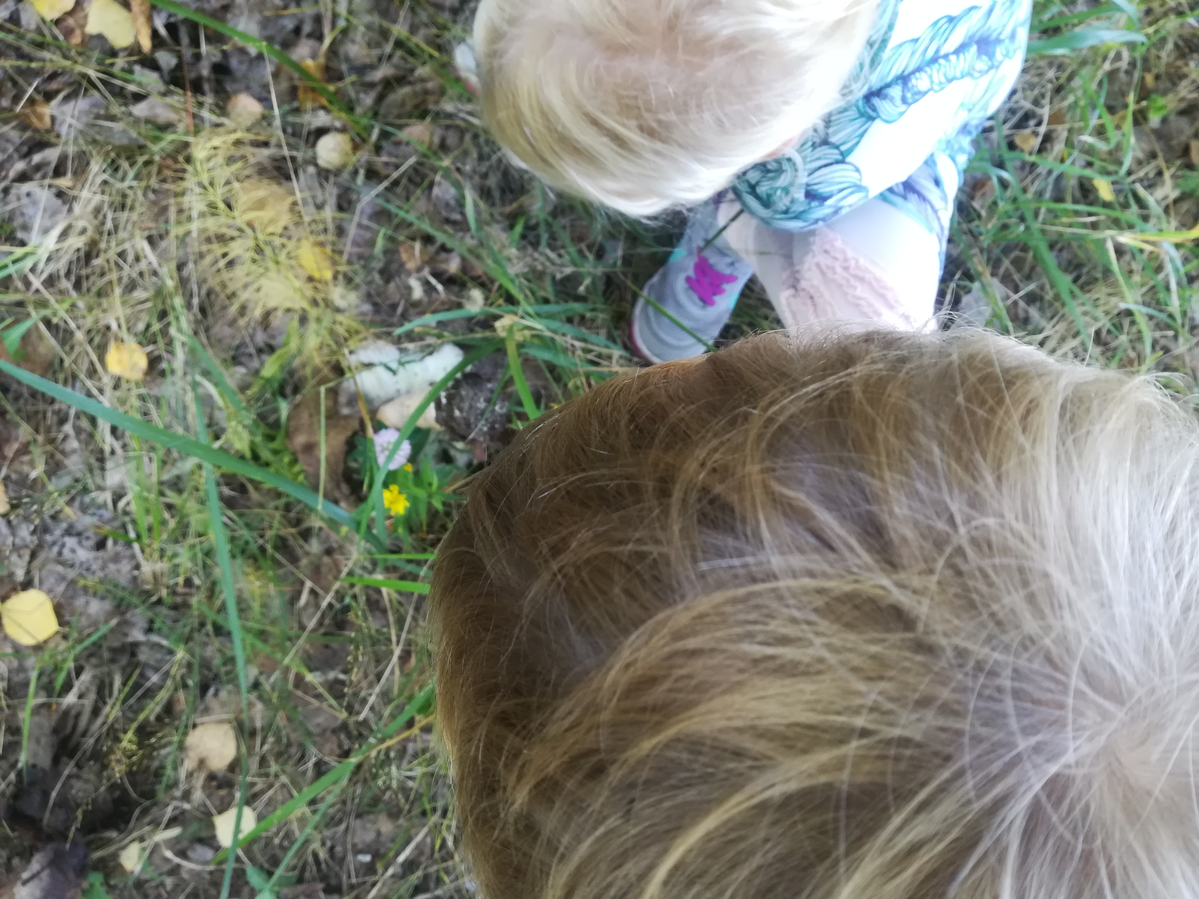 Lapset tutkimassa luontoa.