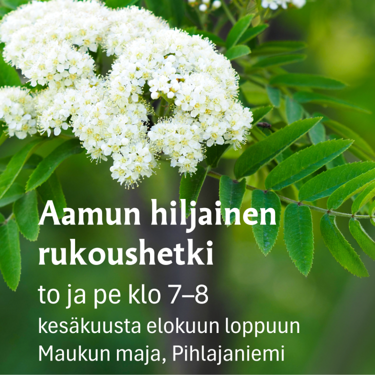 Aamun hiljainen rukoushetki Pihlaja.
